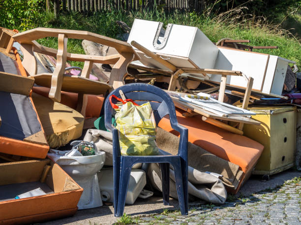 Debris Removal in Maitland, FL