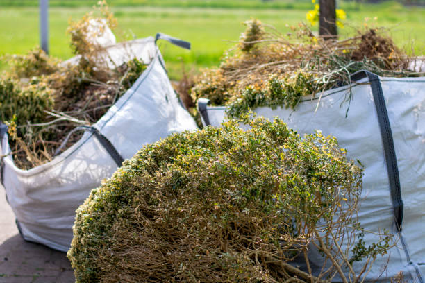 Professional Junk Removal in Maitland, FL